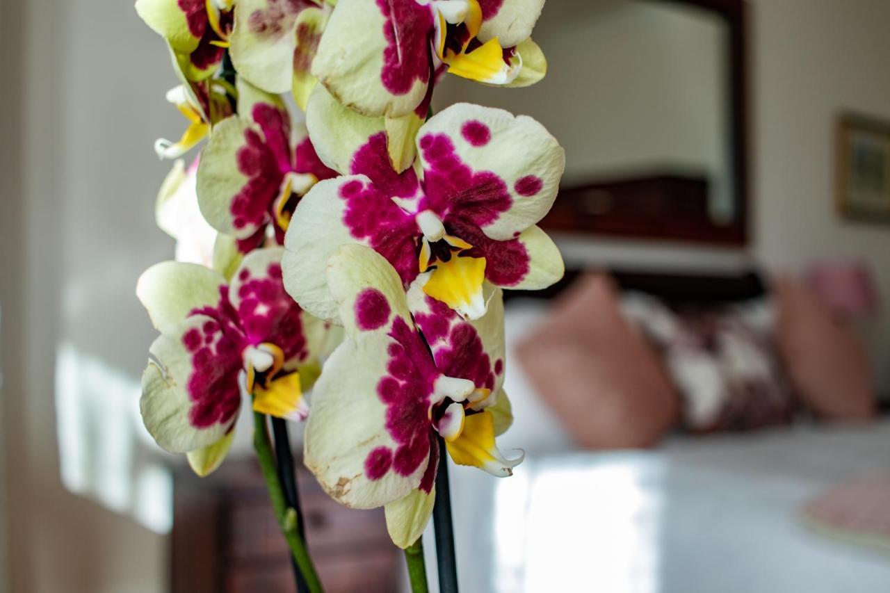 Carmichael House Boutique Hotel Кейптаун Екстериор снимка