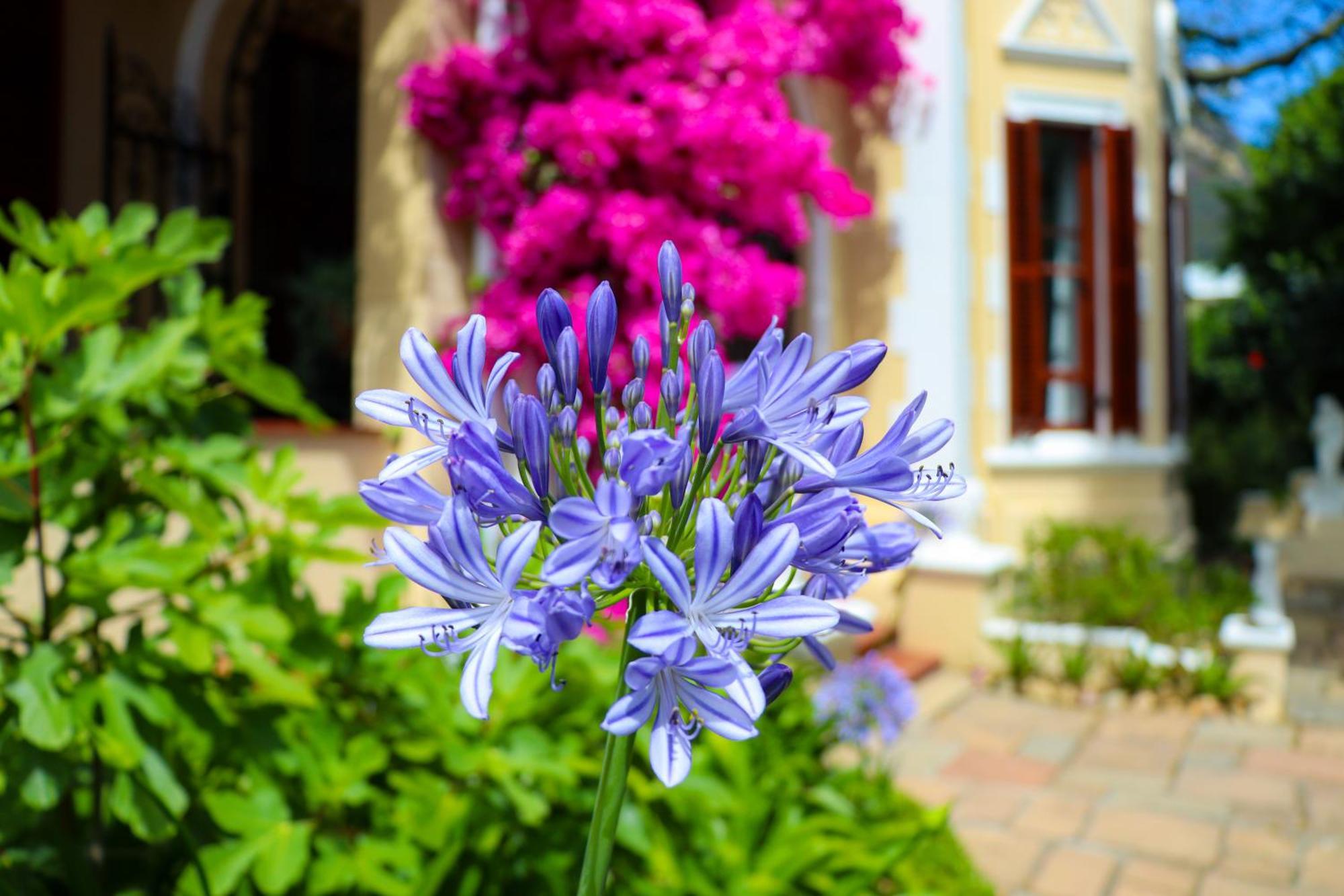 Carmichael House Boutique Hotel Кейптаун Екстериор снимка